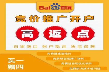 案例分析：百度推广代运营公司在行业中的应用与成效